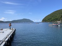 大海原へ大冒険のスタートです