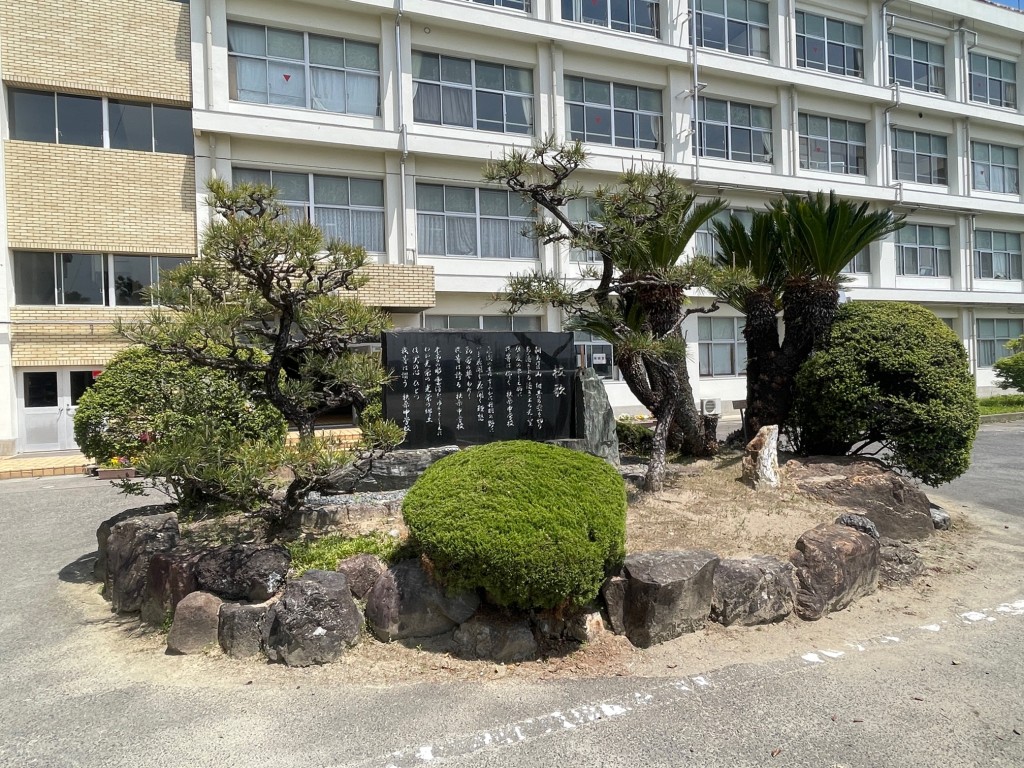image1.jpeg